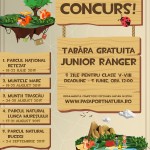 afis NinS scoli (6)